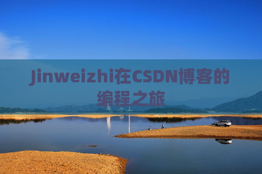 Jinweizhi在CSDN博客的编程之旅